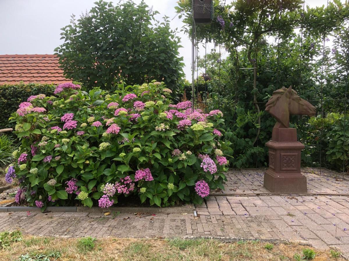 Laaker Villa Nearby Outlet Roermond Ohé en Laak Exterior foto
