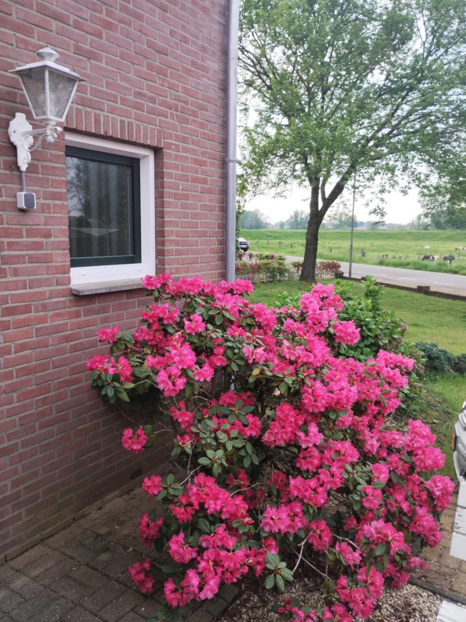 Laaker Villa Nearby Outlet Roermond Ohé en Laak Exterior foto